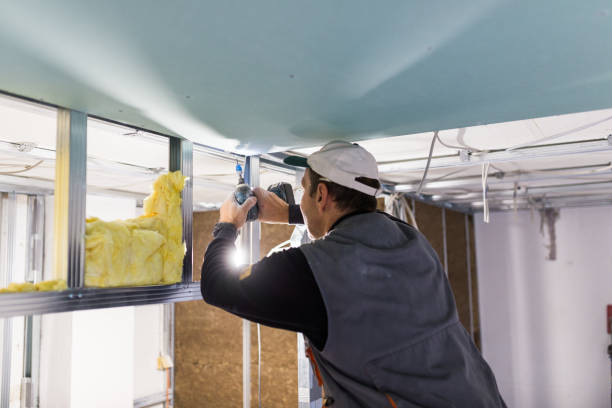 Types of Insulation We Offer in Redlands, CA